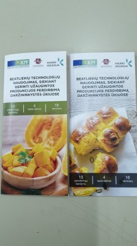 Projekto viešinimo lankstinukai